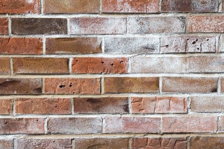 Efflorescence salts in brickwork.
